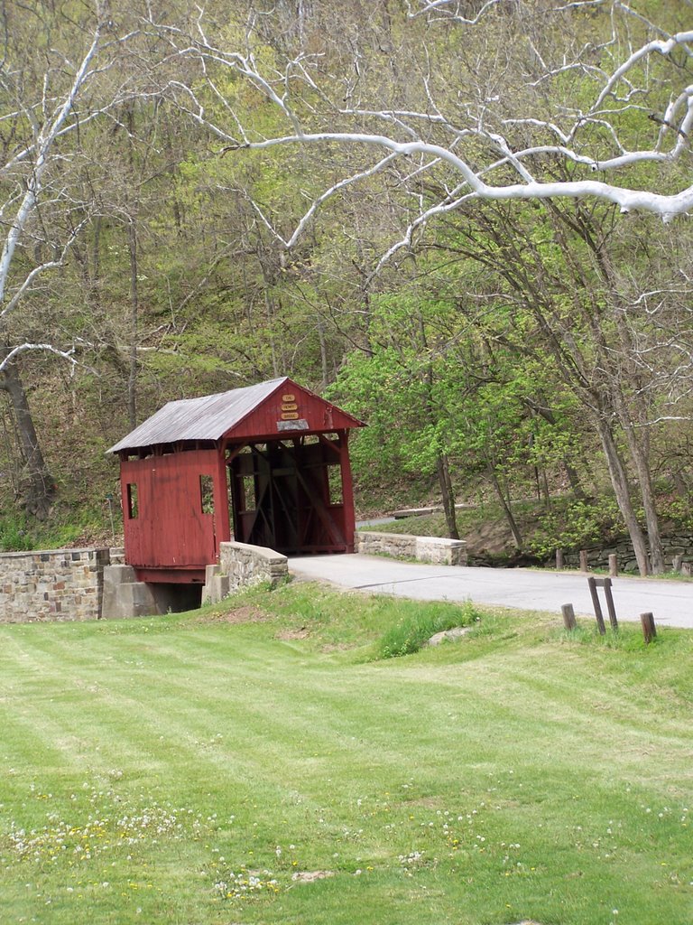 Henry Bridge at Mingo Park