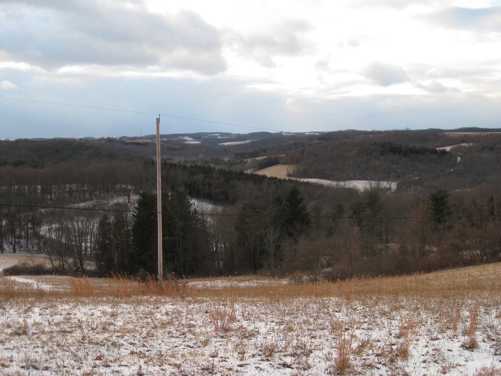 View from Chapel Hill Rd.