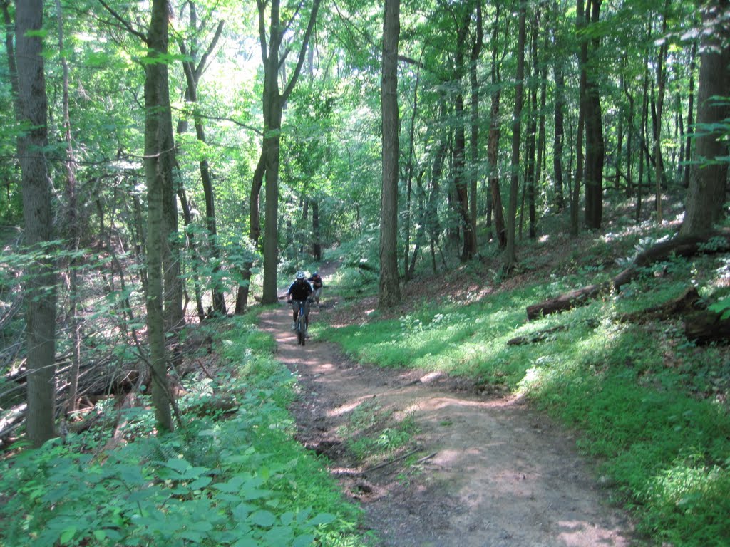 Girl Scout Hill