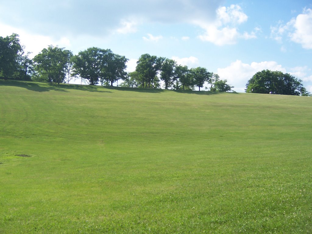 Up the Hill