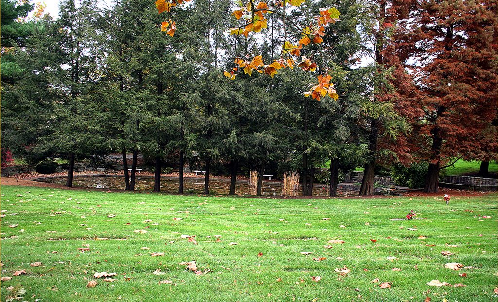 Jefferson Memorial Park 2