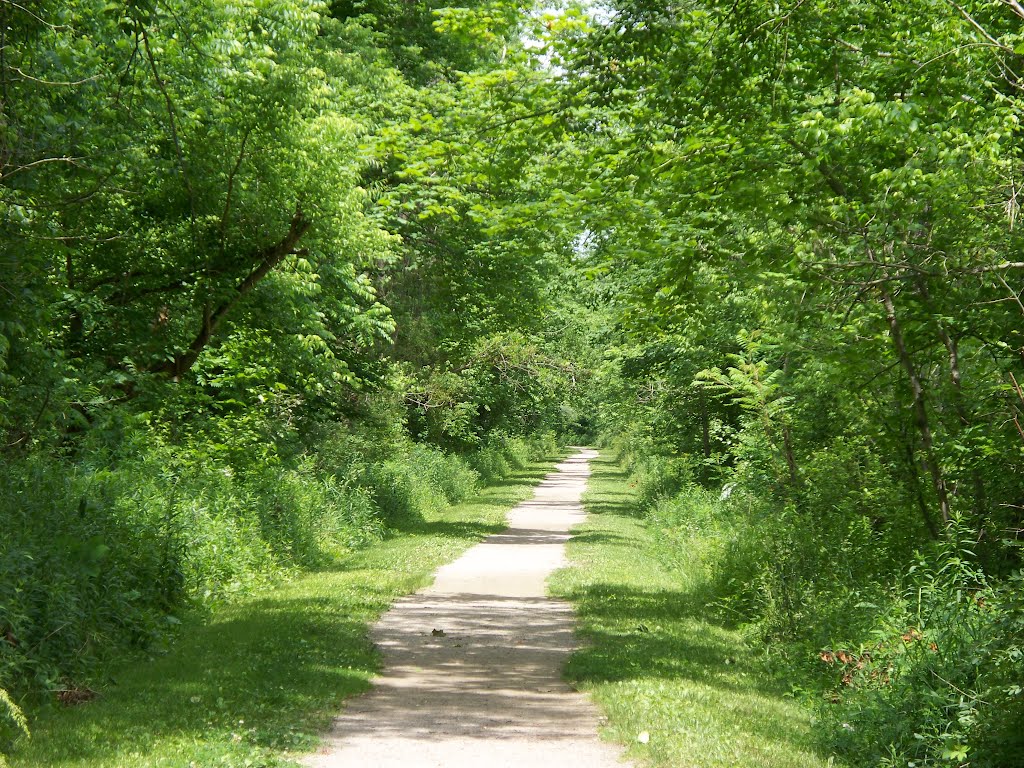 Long Trail