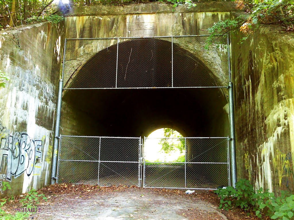 Snowden Tunnel 1929
