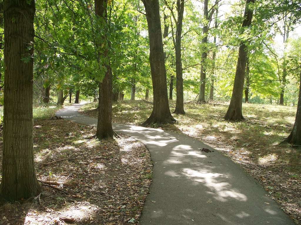 Gazebo Wood