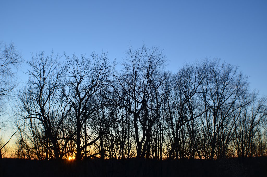 South Park Dusk