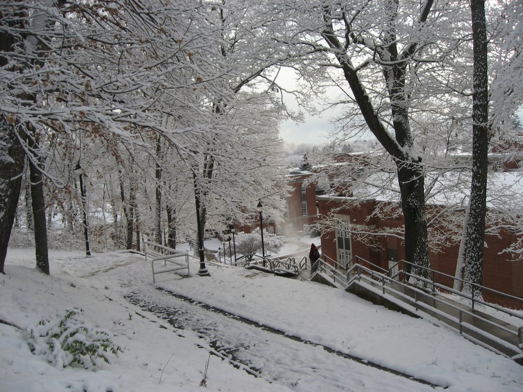 Snow at LHU, looking down steps