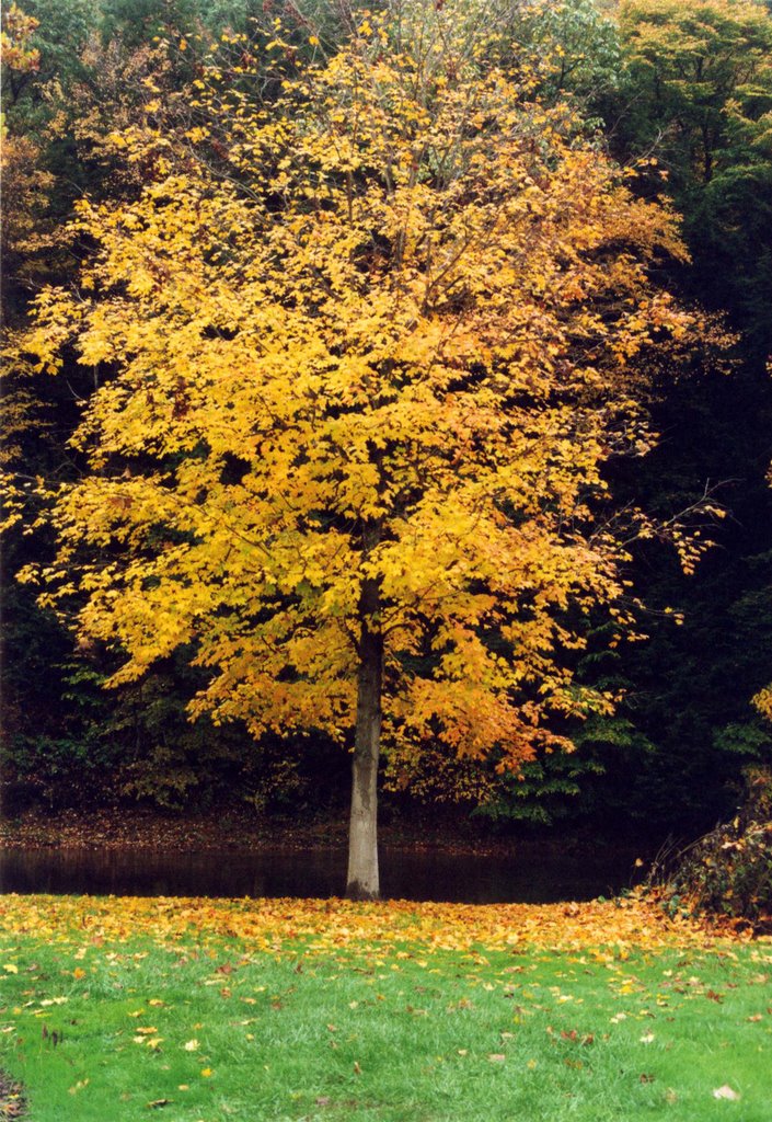Banks of the Juniata River (Huntingdon, PA)