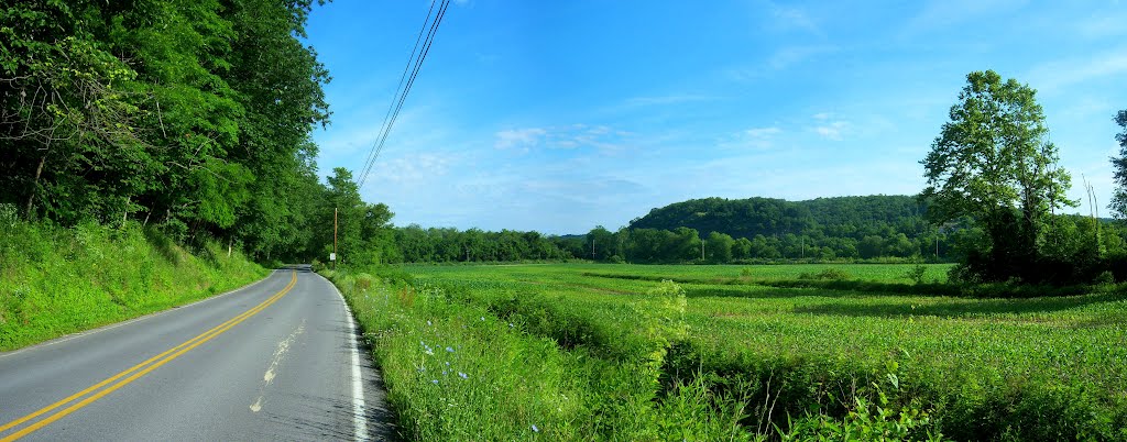 Fields near Huntingdon and Raystown