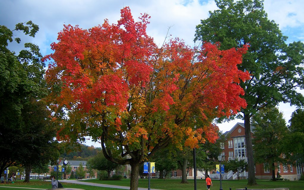 October in full Glory