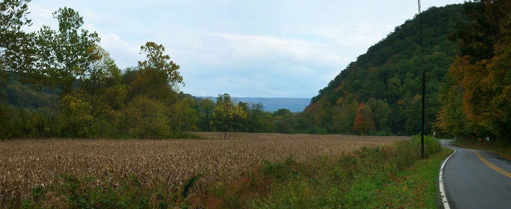 A hint of Fall Huntingdon