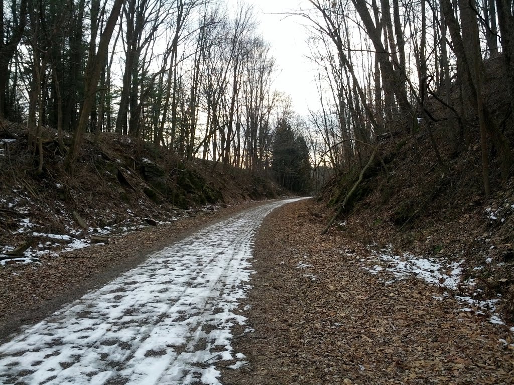 Snow covered path
