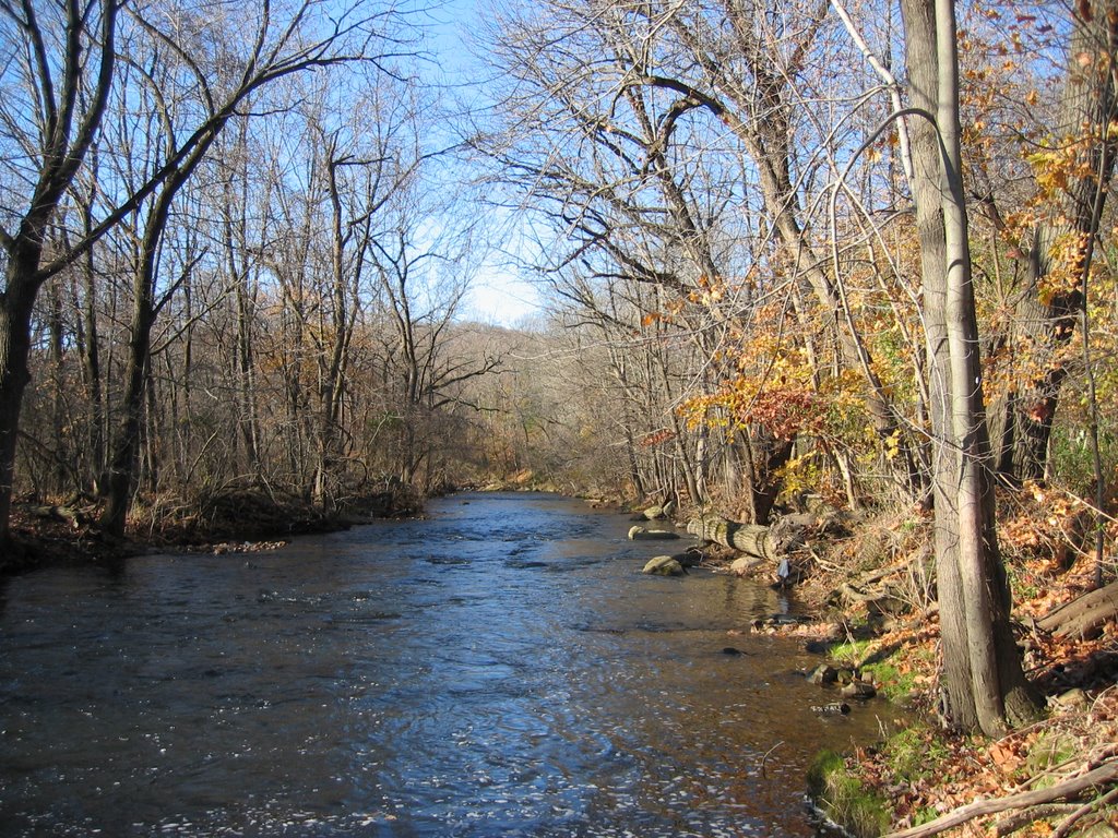 Saucon Creek November