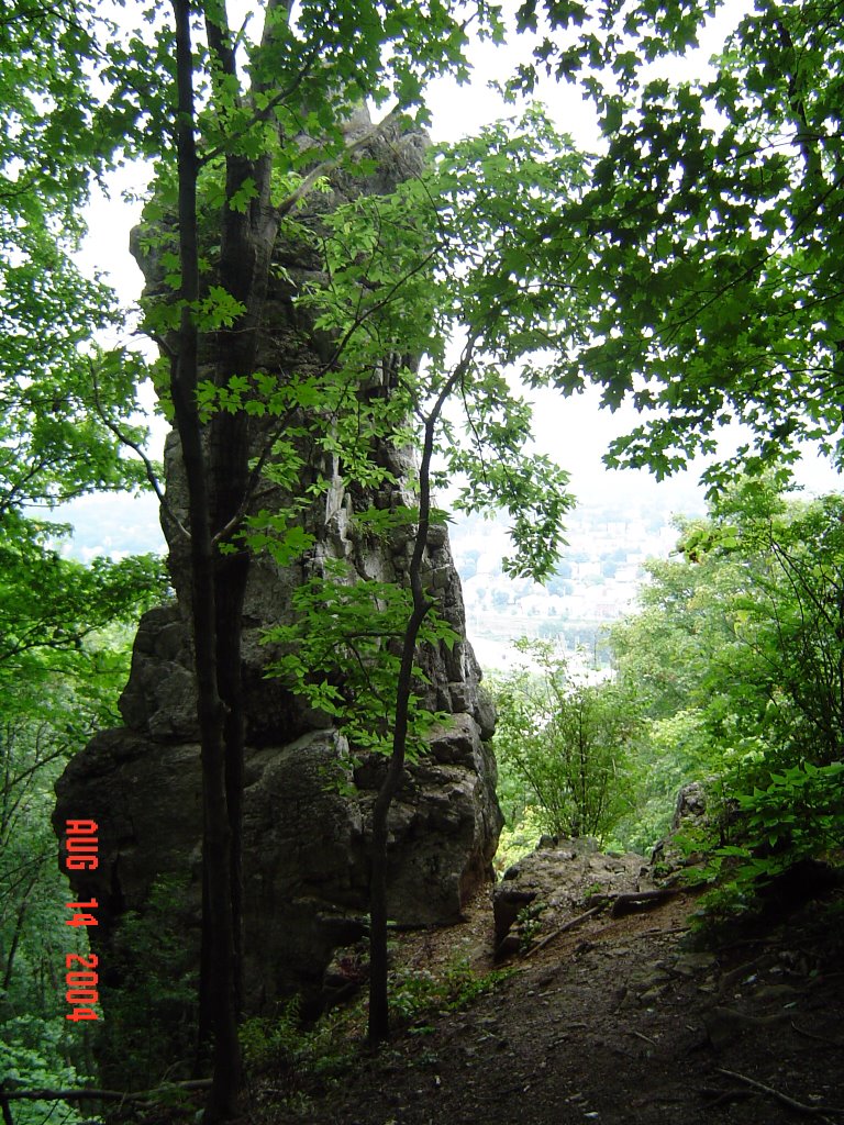 Chimney Rock