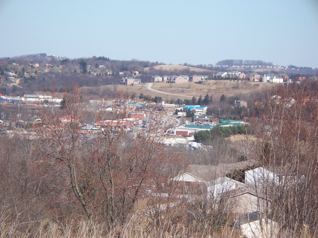 View of Peter Township