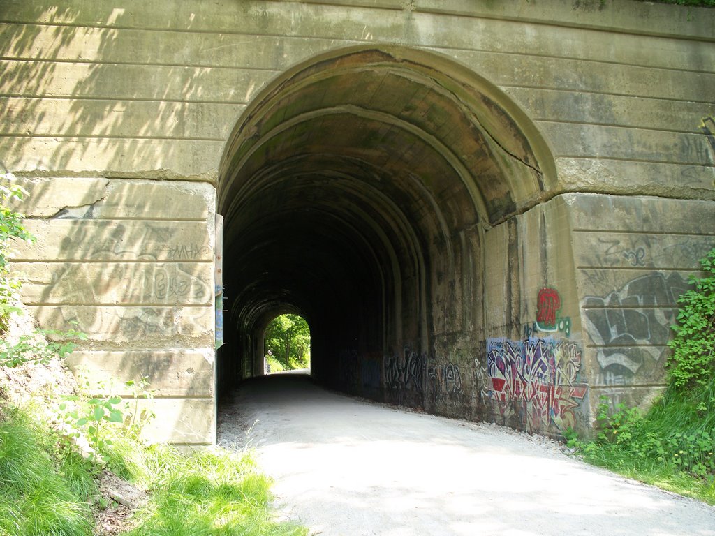 Greer Tunnel from South