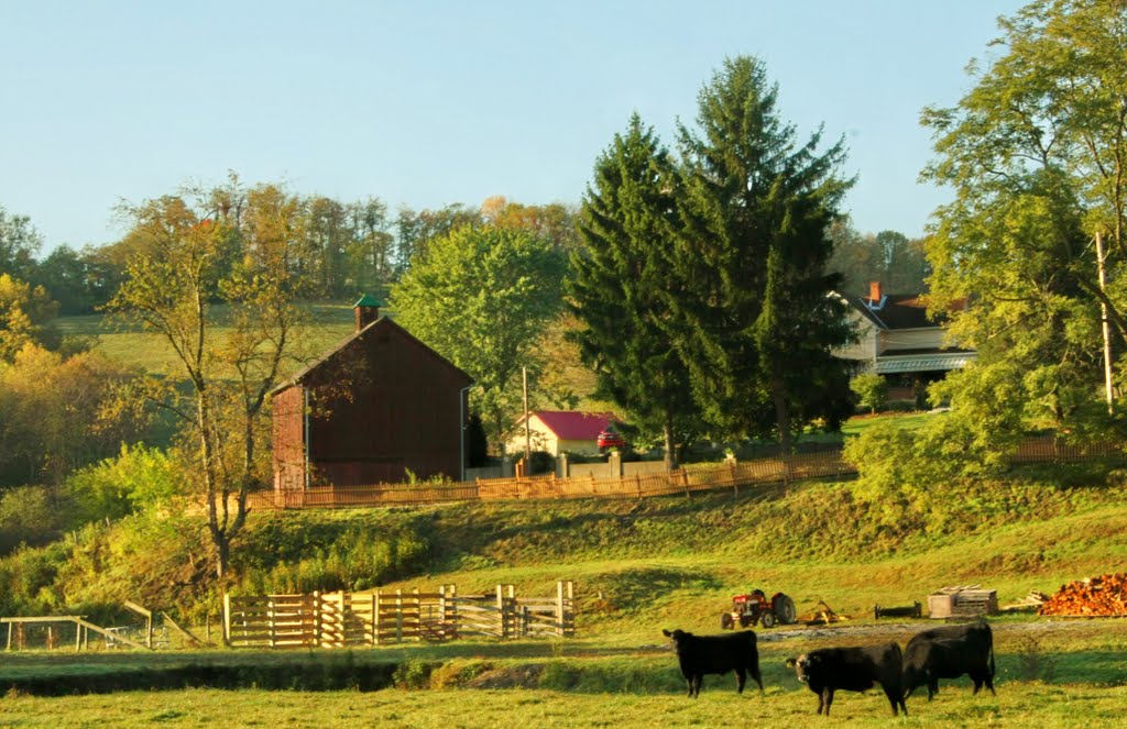 Fosters Farm