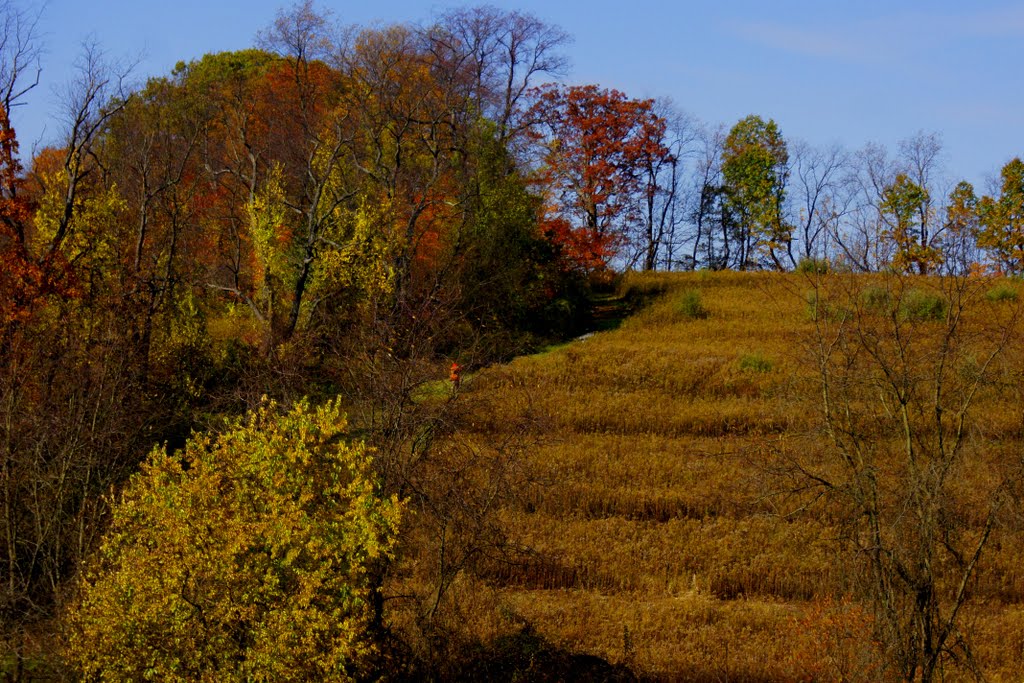 fall hunt 2