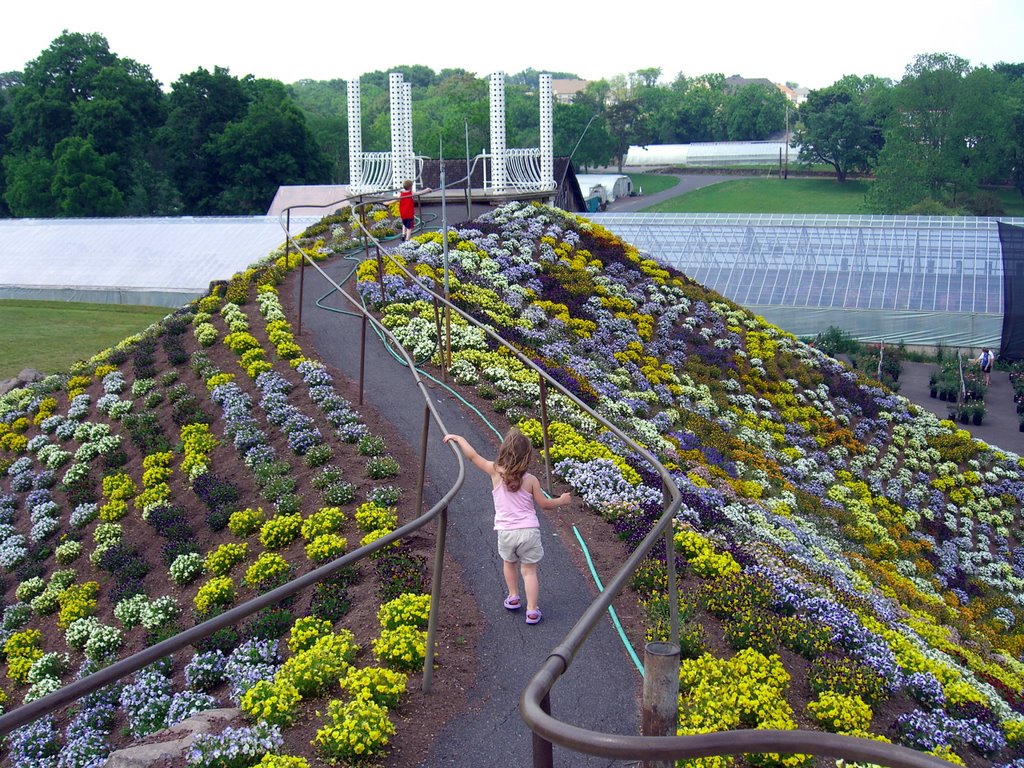Otts Nursery