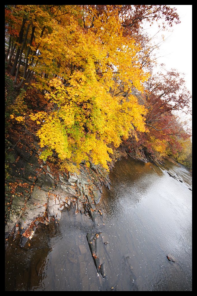 perkiomen creek in Fall
