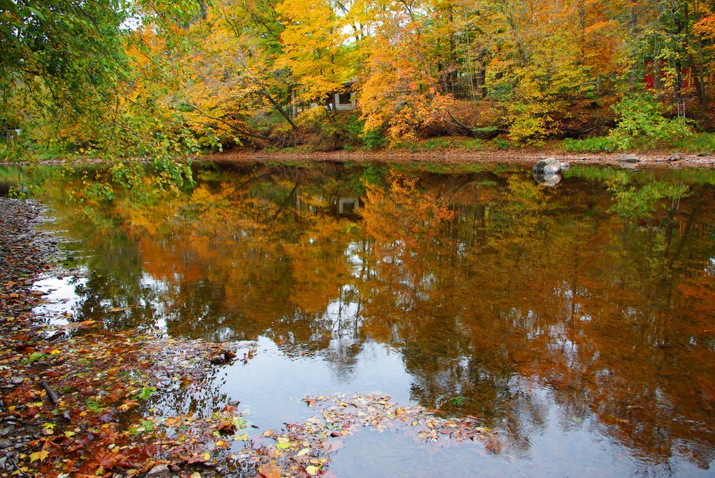 Autumn Reflection in the Perkiomen