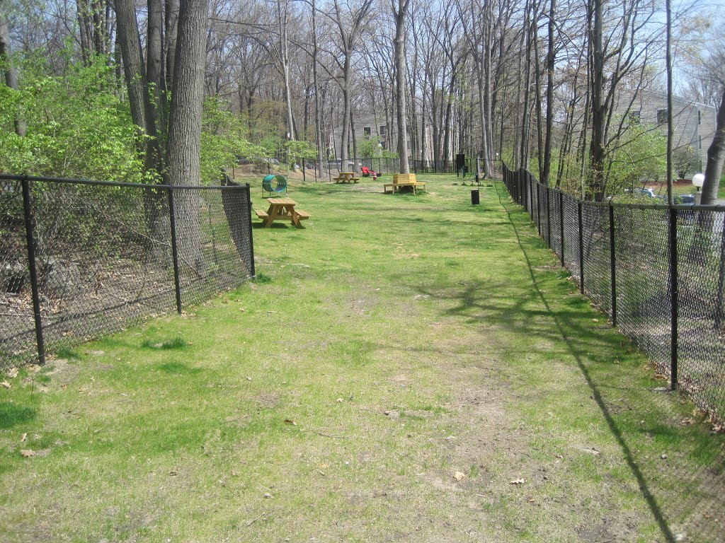 Bark Park Toftrees Avenue   State College