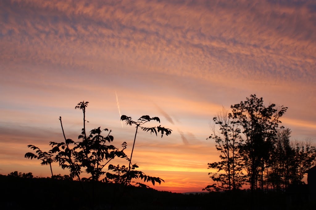 Sunrise at Benjamin Court