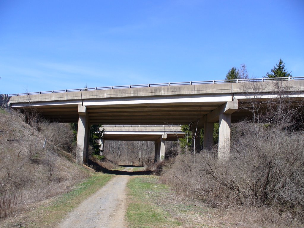 Mt. Nittany Expressway Over Bellefonte Central Rail Trail