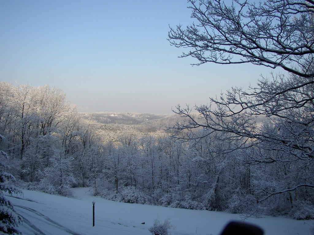 Winter in Bell Acres