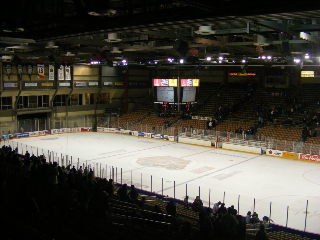 Tullio Arena