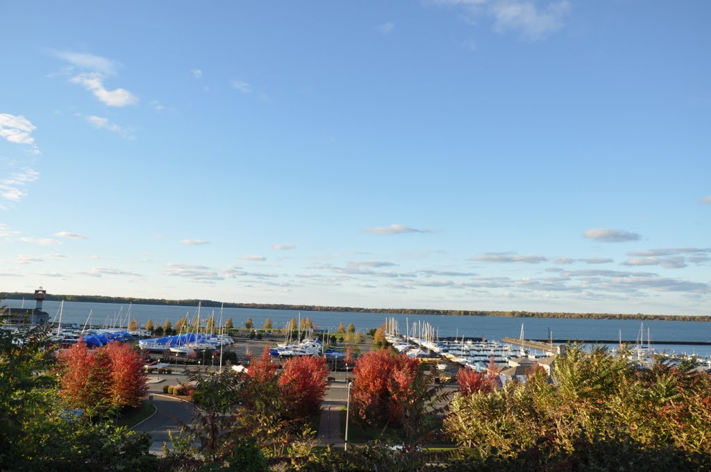 Marina in October