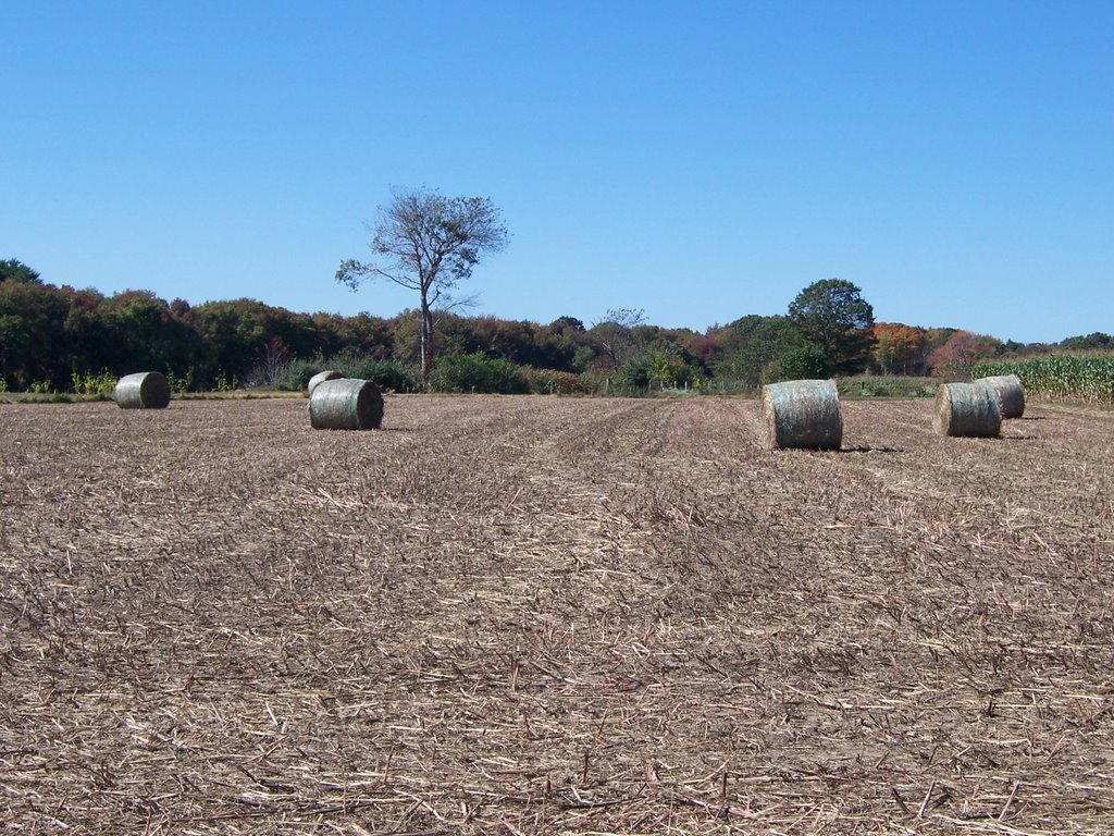 Schartner Farm, Exeter, Rhode Island