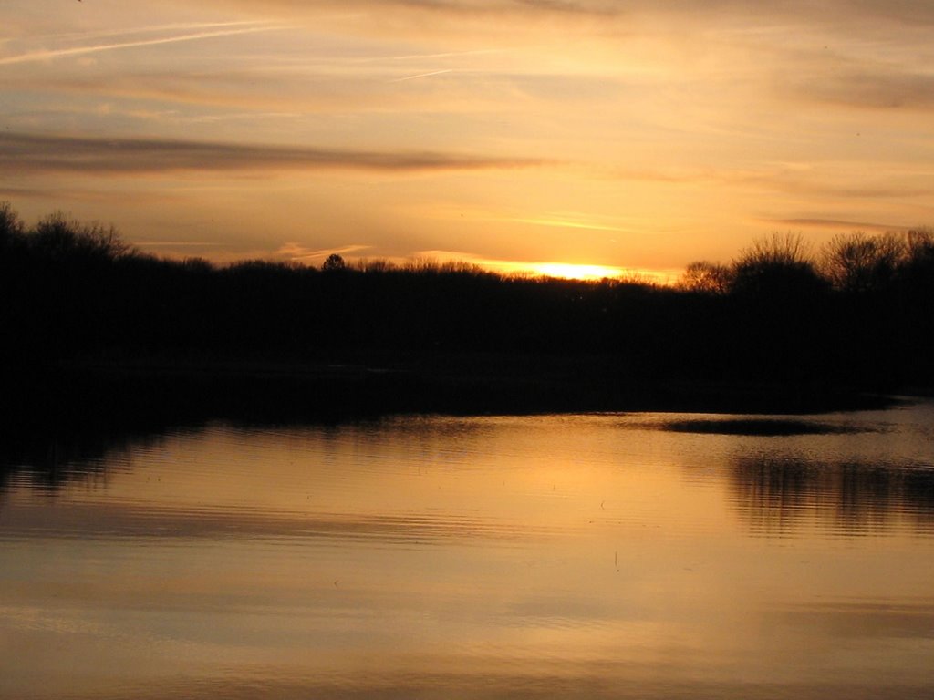 Mill Pond Hamilton RI