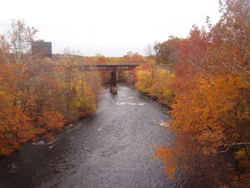 Court Street bridge river view in Autumn