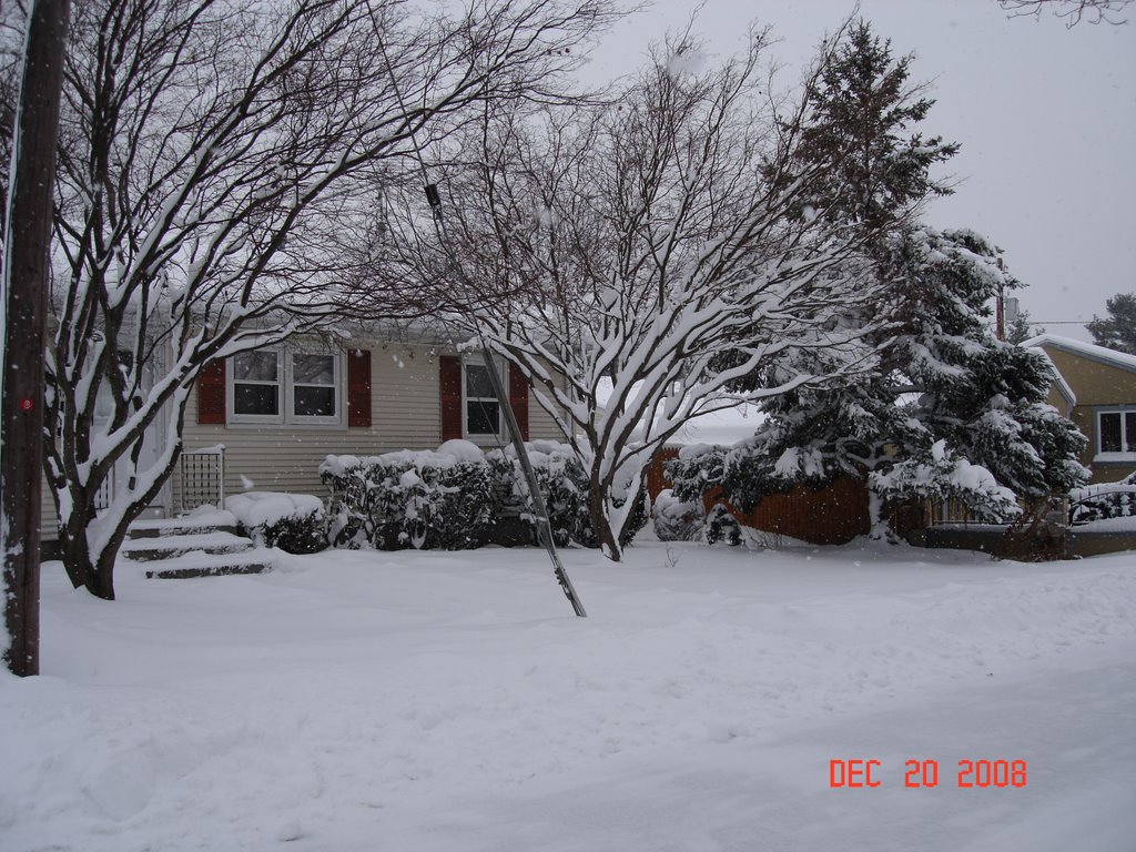 Snow on December 20, 2008 in East Providence