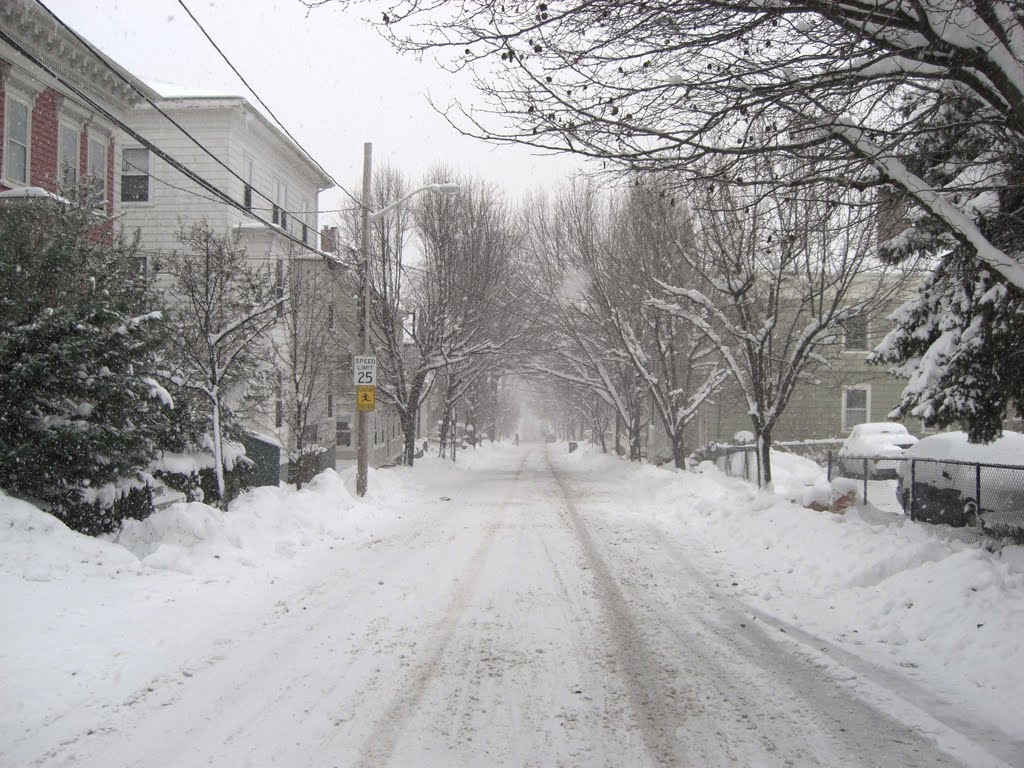 Winter Wonderland