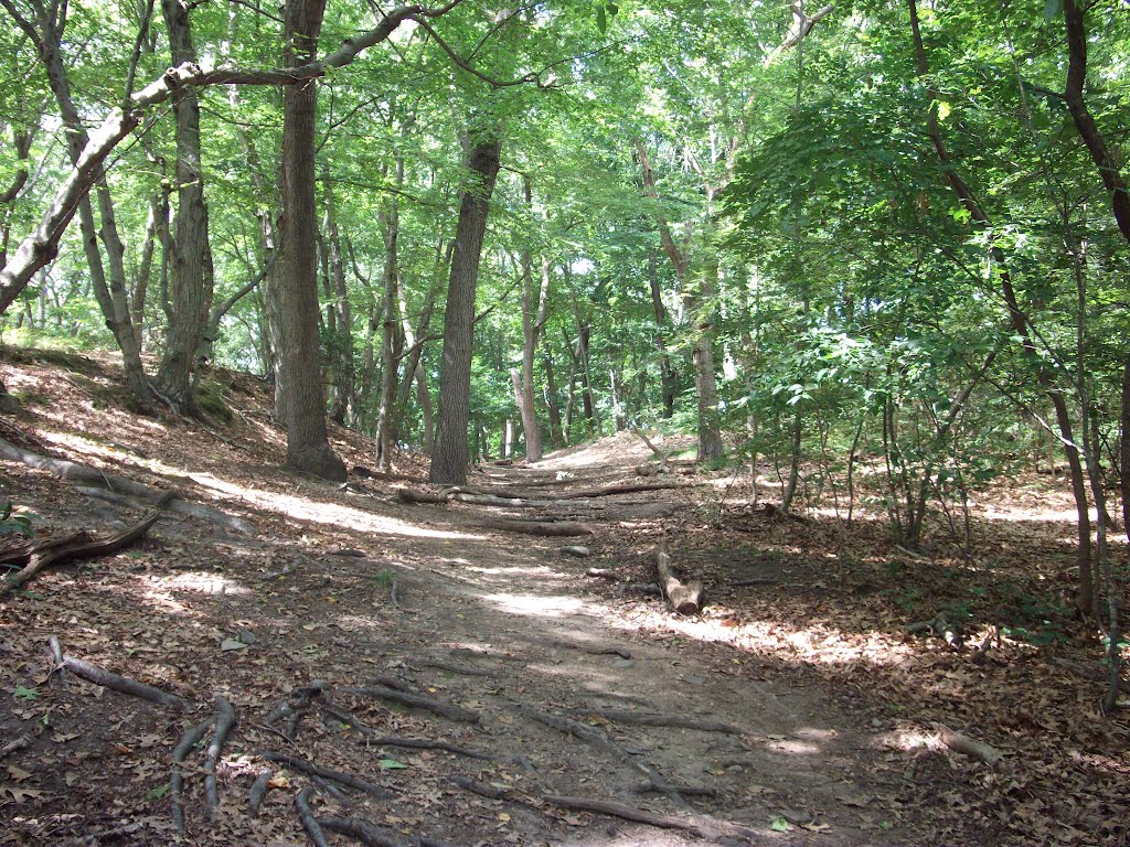 Blackstone Park Trail
