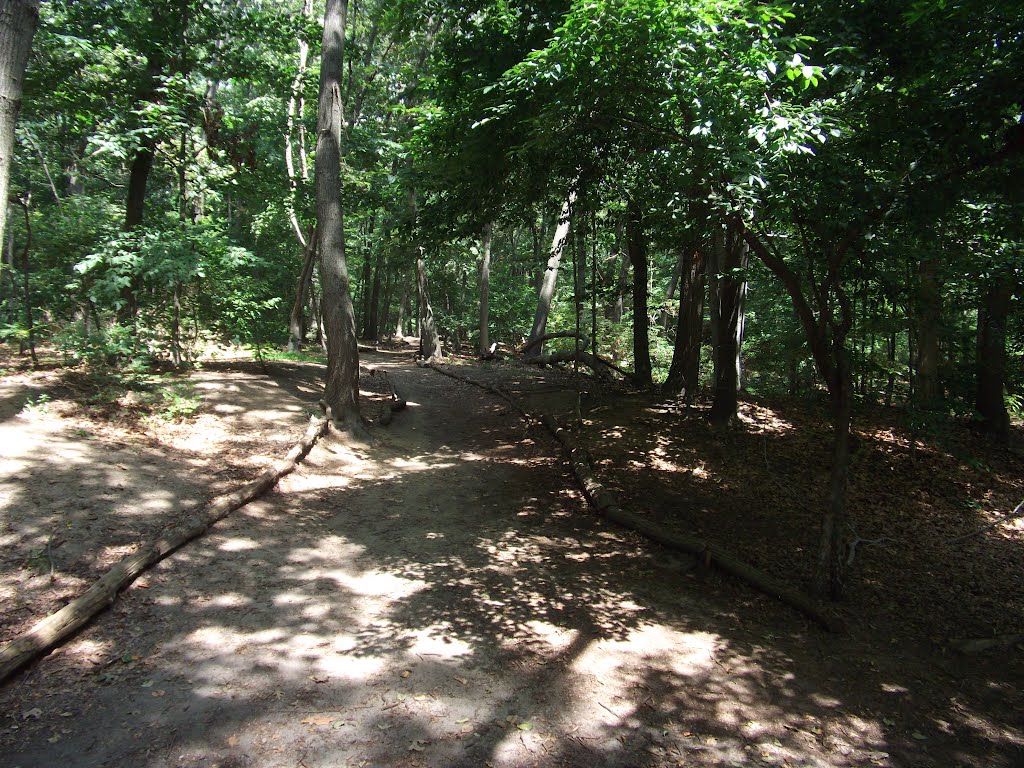 Blackstone Park Trail