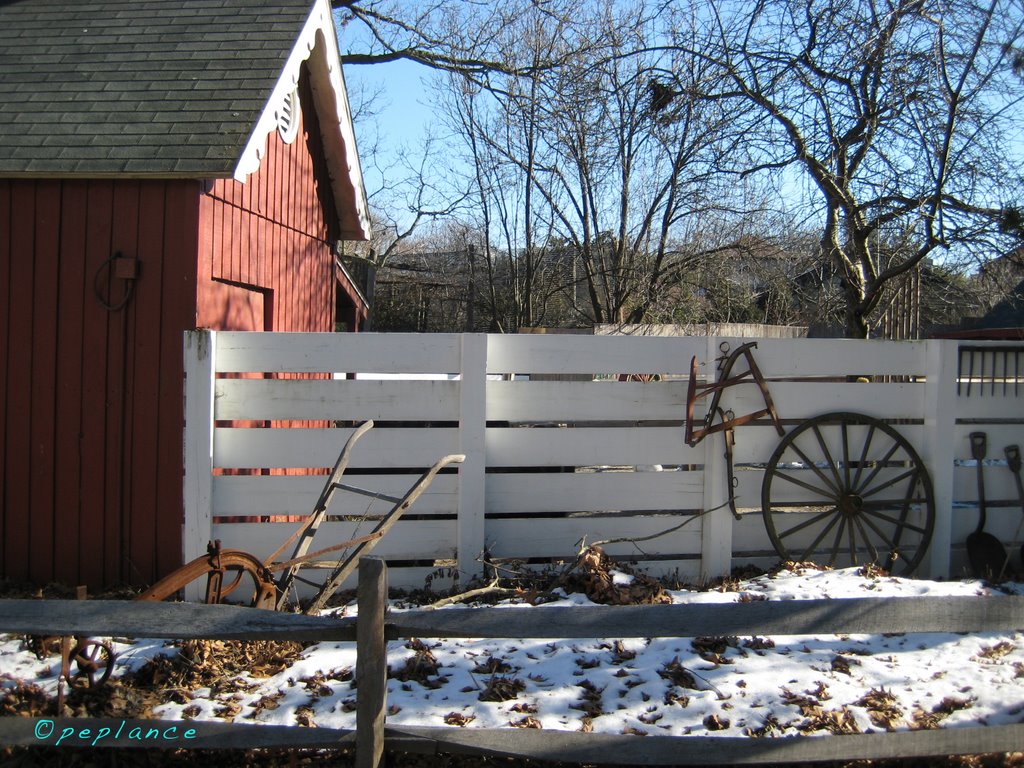 Farmyard at Roger Williams Park Zoo