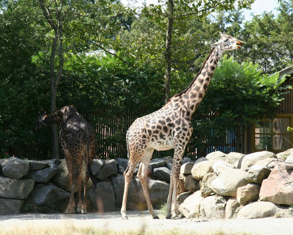 Roger Williams Park ZOO