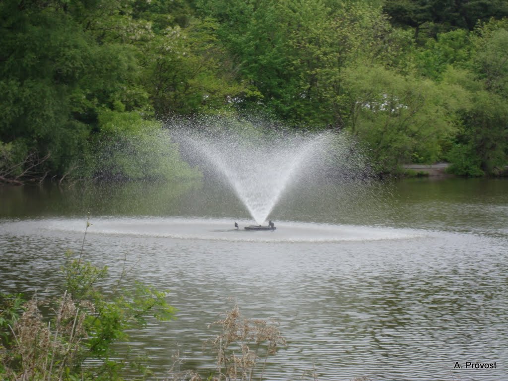 Fountain in Polo Lake