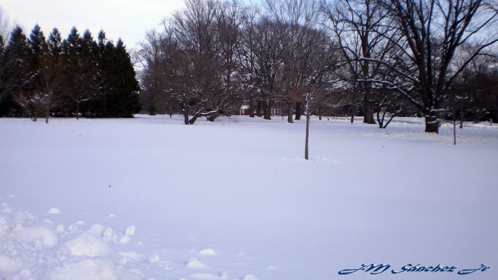 Roger Williams Park, Providence, RI Winter 2011