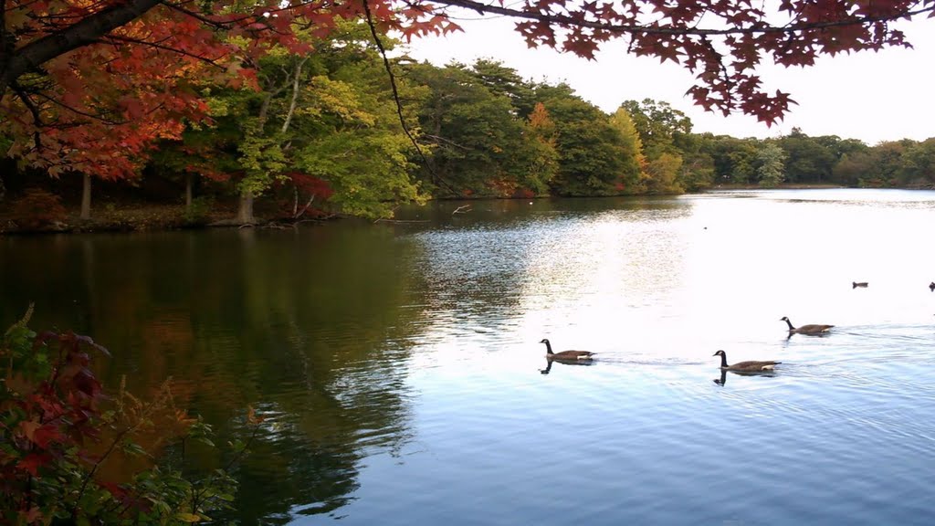 Roger Williams Park, Providence, RI Summer 2009