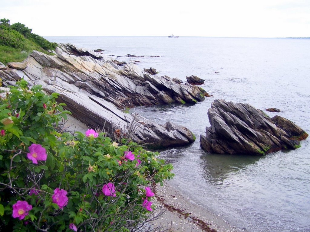 Beavertail State Park, Jamestown, RI