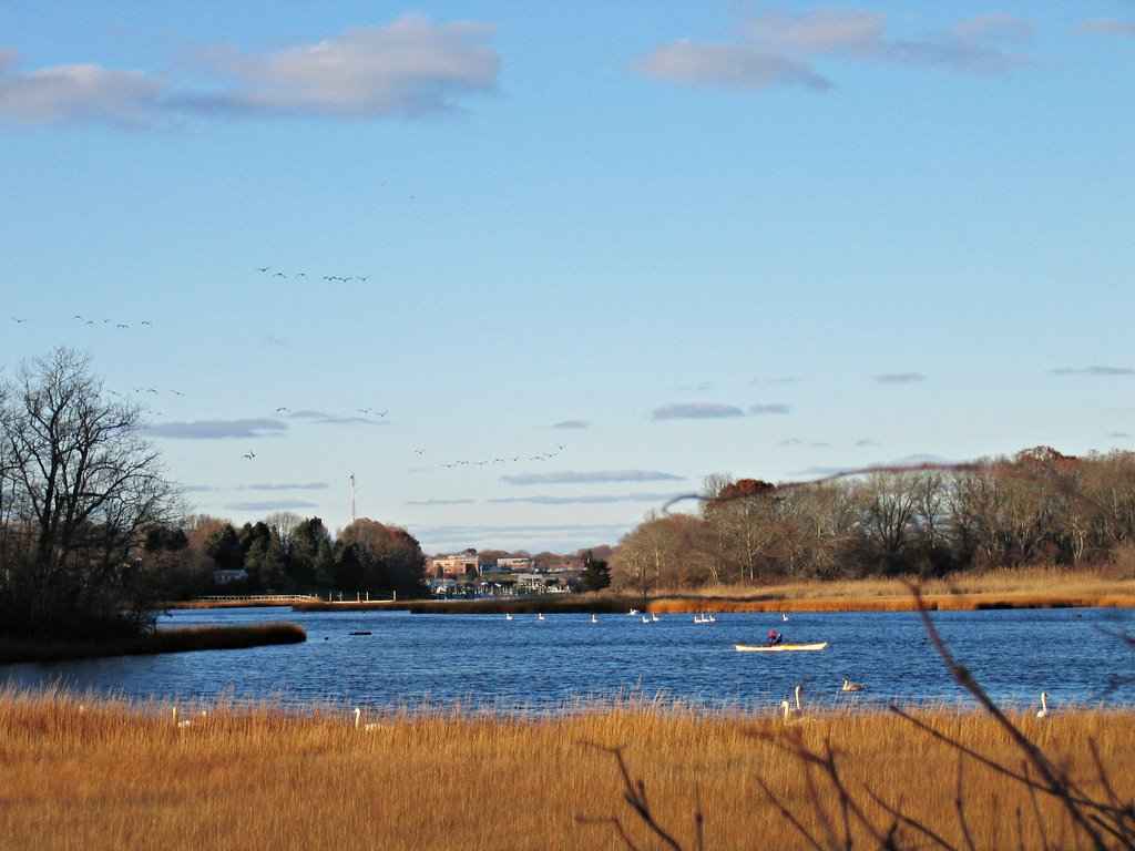 great salt pond at harbor island causeway