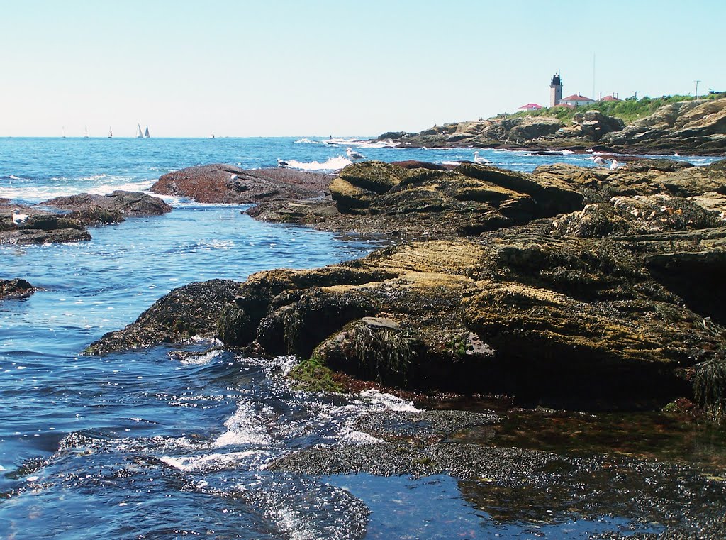 Beavertail State Park