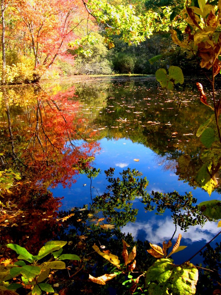 Fall in New England