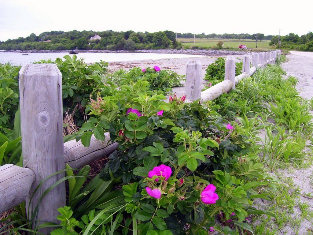 View of Mackeral Cove Beach, Beavertail Rd, Jamestown, RI