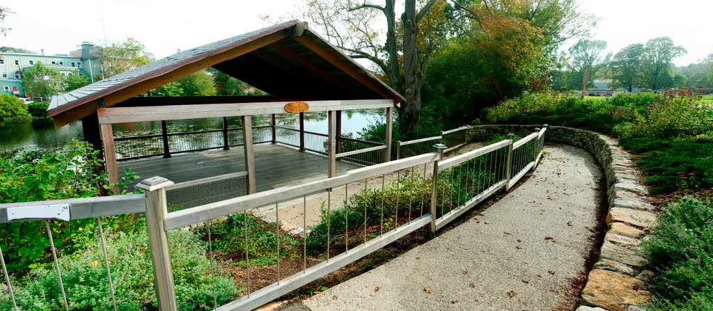 Saris Sanctuary