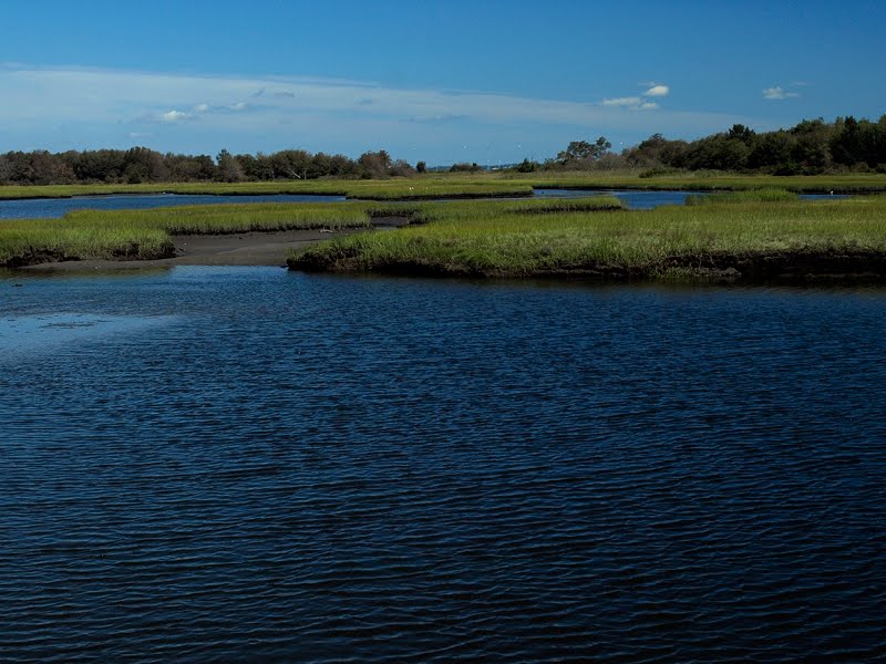 Great Creek