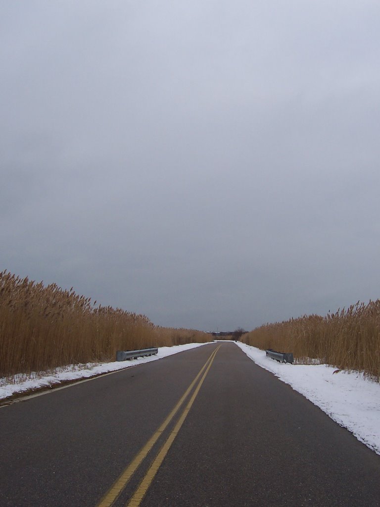 Bonnet Point Rd.